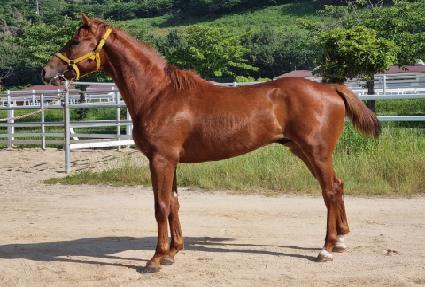 �´������� ����