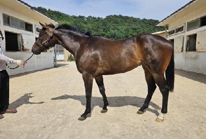 ����� ����