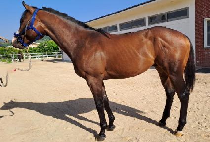 �������� ����