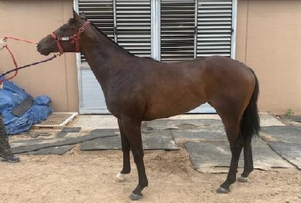 ������ ����