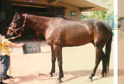 �����ġ ����