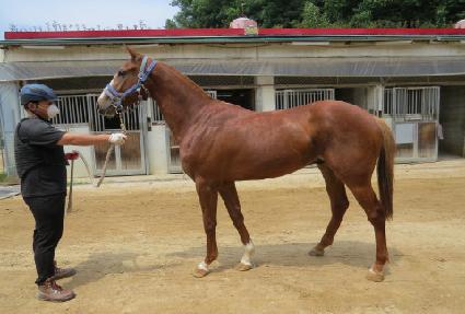 ��´�����Ű ����