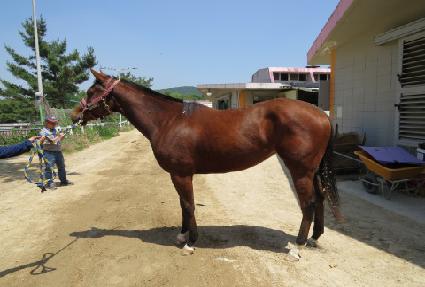 ���絵�� ����