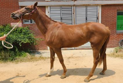 õ�⵵�� ����