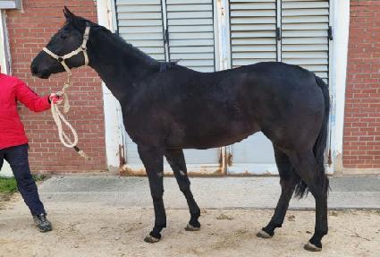 ���̵������ ����