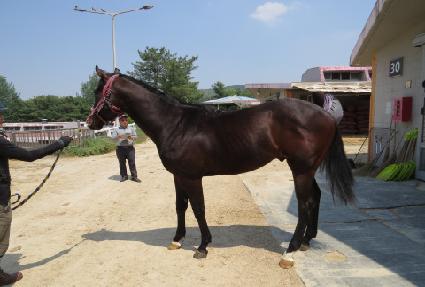 �ö��׵��� ����