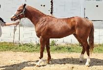 �÷�����ũ (FLASH PARK) ����