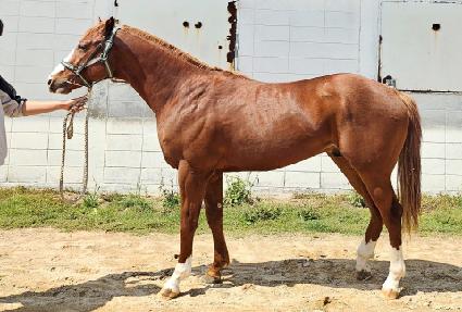 �÷�����ũ ����