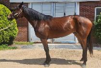 �����¾� (WORLD TAEYANG) ����