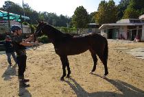 �ö��׿��� (FLYING YEOGEOL) ����