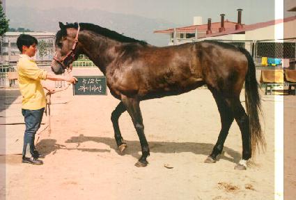 ī���̼� ����