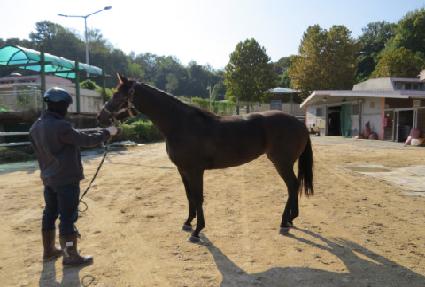 Ư����Ƽ ����