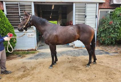 ��ũ��Ÿ ����