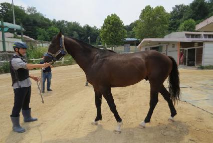 ���л� ����