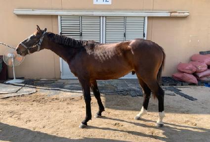 ������Ƽ�� ����