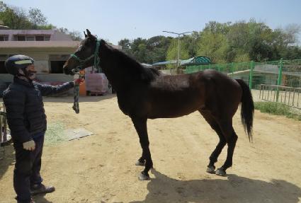 �ݾ�����Ʈ ����