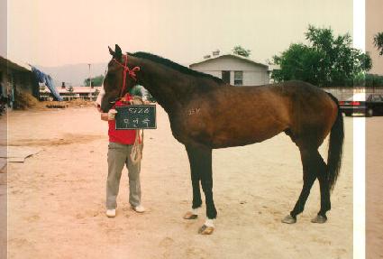 ����� ����