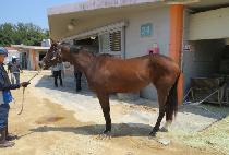 �ӷξ��� (PALO ALTO) ����