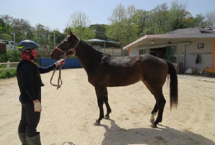 ���̿����� ����