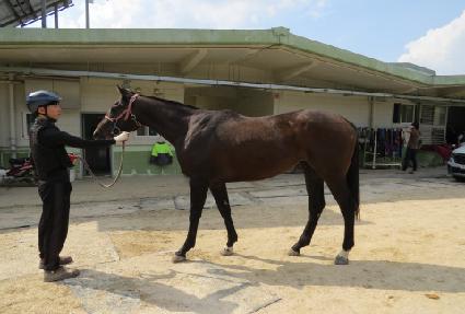 ���϶�ĭ ����