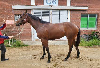 �������� ����