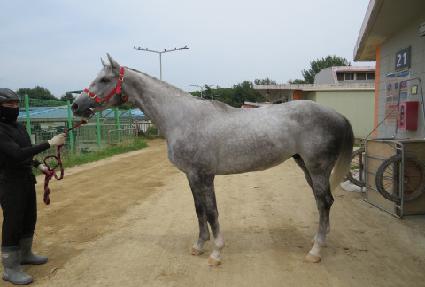 �ʿ��� ����