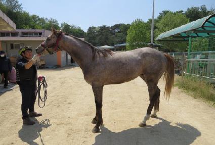 ���Ŀ� ����