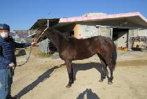 ����Ʈ���� (SMART MARU) ����