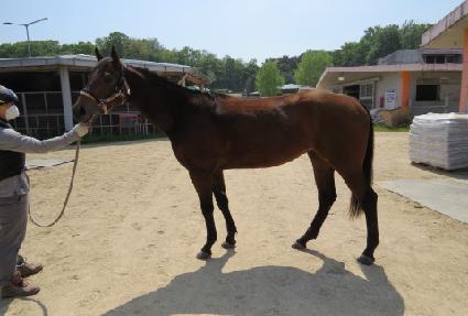 ����Ÿ��罺 ����