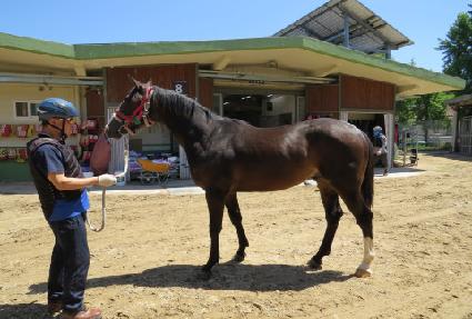 ������ ����