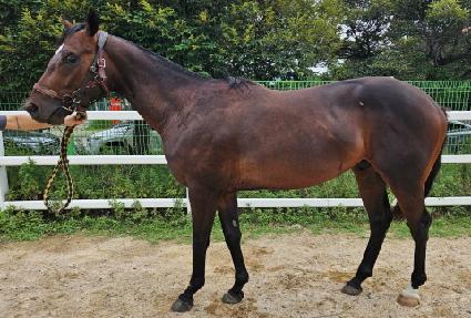 �ְ�Ʈ���� ����