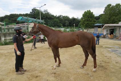 ��õ���̾�Ʈ ����