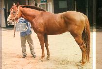 �����帧 (BYOL BIT TREUM) ����