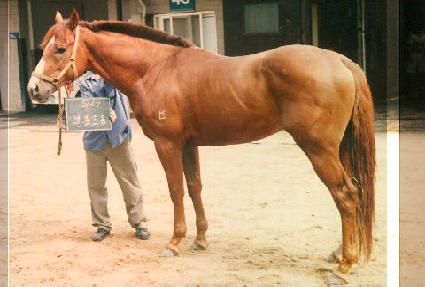 �����帧 ����