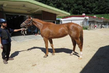 ũ���������� ����