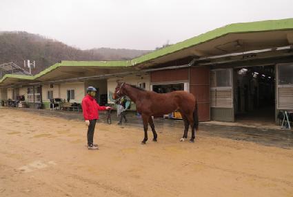 ���̳θ��� ����