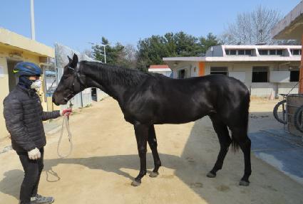 ��������� ����