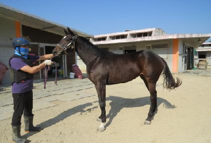 Ŭ������ ����