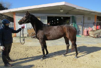 ����Ÿ�� ����