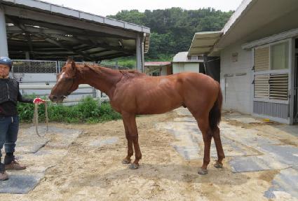 ����Ǯ���� ����