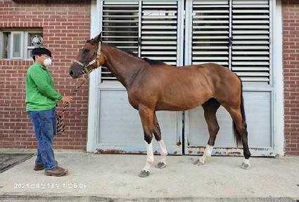 ����Ǯ�� ����