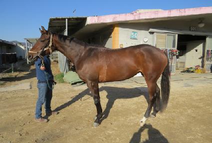 �������� ����