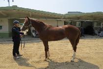 �±��ŷ (TAEGISAN KING) ����