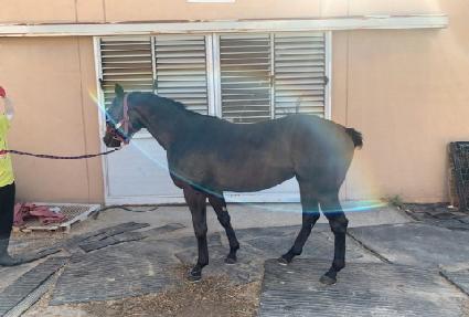 ����Ǯ����Ʈ ����