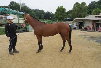 ����Ǯġ�� ����