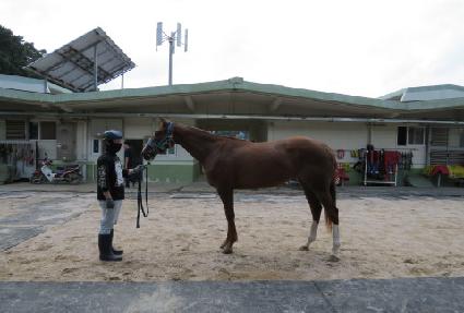 ����Ǯĳ�� ����