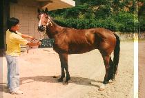 �̹��� (I BA JI) ����