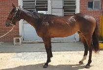 ����Ǯ���� (WONDERFUL JONES) ����