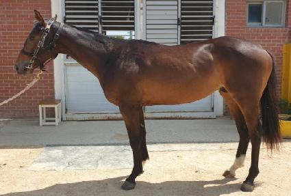 ����Ǯ���� ����