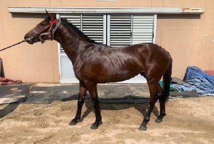 ���������� ����